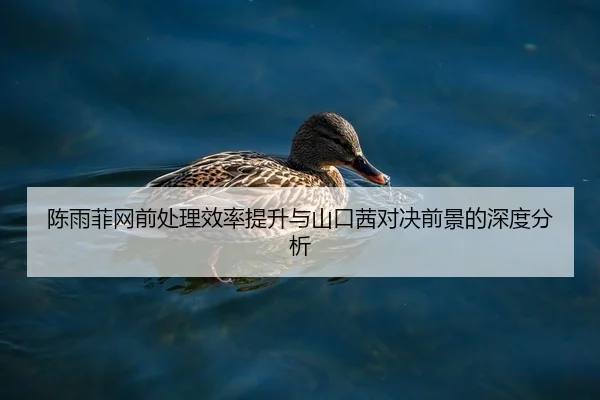 陈雨菲网前处理效率提升与山口茜对决前景的深度分析
